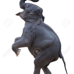 Meet your Posher, Kameron